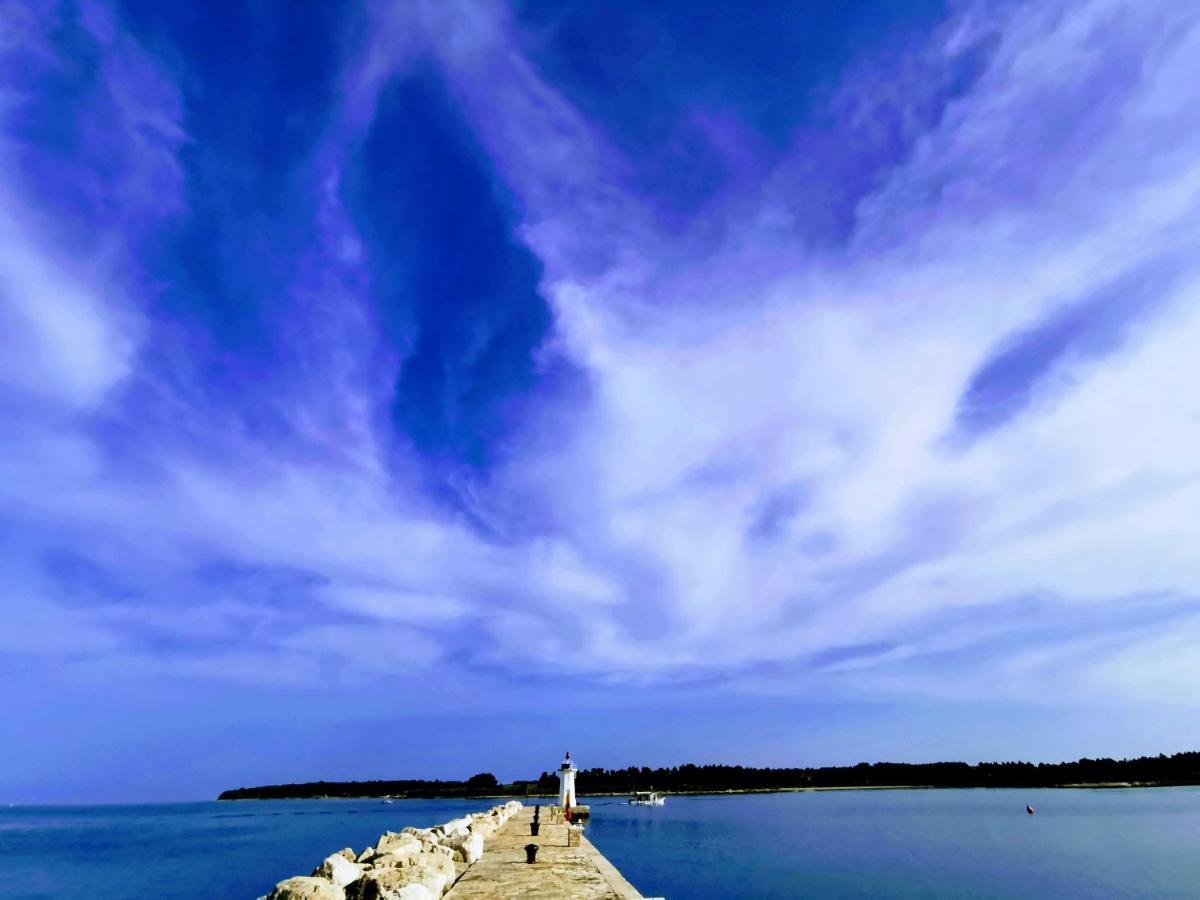 Aria Deluxe Superior 5 Star Apartment, Your Piece Of Heaven By The Sea & Park, With Sea & Park View Novigrad Istria المظهر الخارجي الصورة